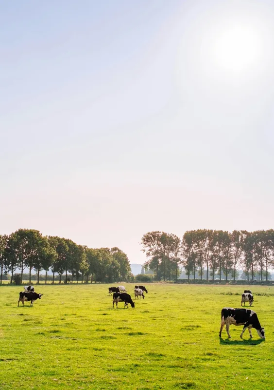 Biologisch boeren zo financier je de overstap Card preview 654 x 800 Biologisch boeren zo financier je de overstap